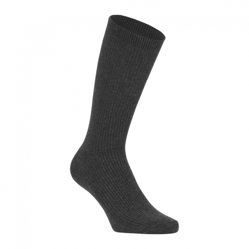 Ponožky bamboo regular gris (39 - 42) Scholl - 2 ks