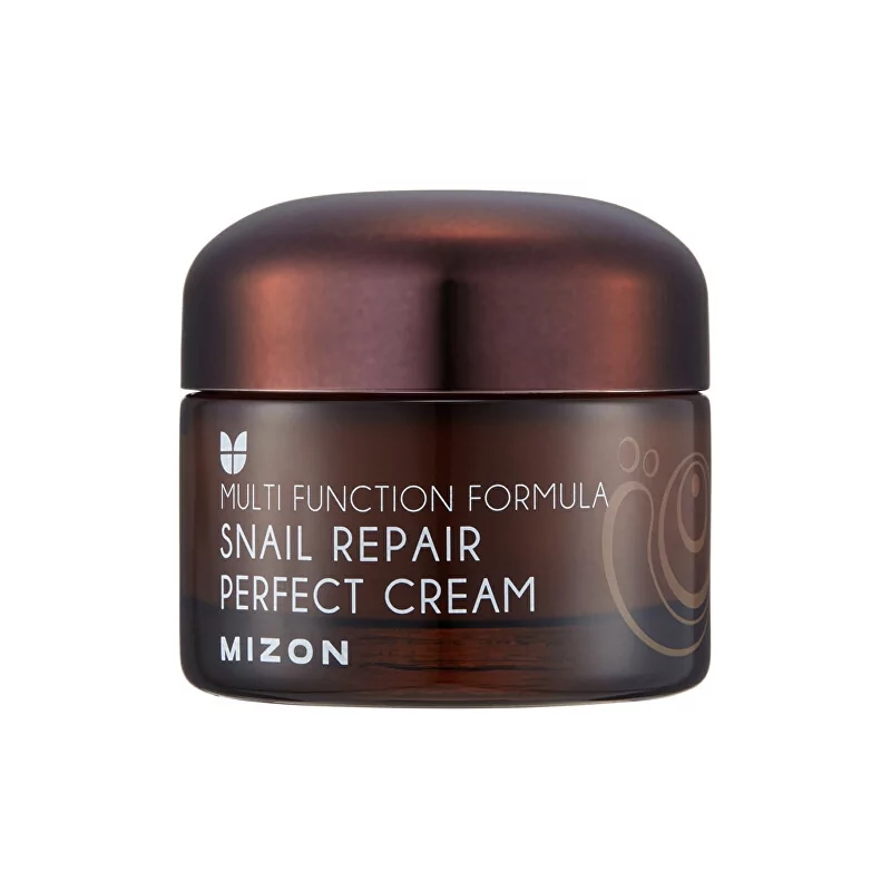 Pleťový krém s filtrátem hlemýždího sekretu 60% pro problematickou pleť (Snail Repair Perfect Cream) Mizon - 50 ml