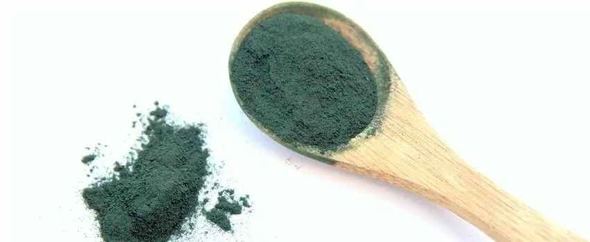 Zpátky do formy se spirulinou!